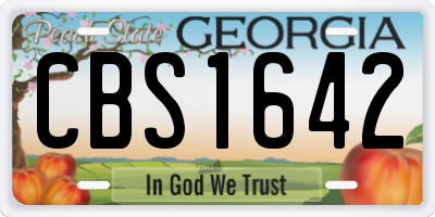 GA license plate CBS1642