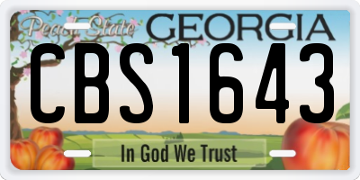 GA license plate CBS1643