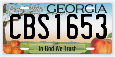 GA license plate CBS1653