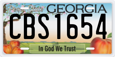 GA license plate CBS1654