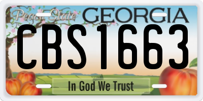 GA license plate CBS1663