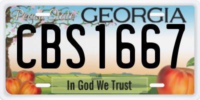 GA license plate CBS1667