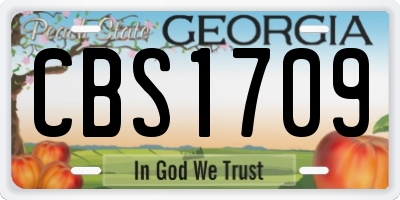 GA license plate CBS1709