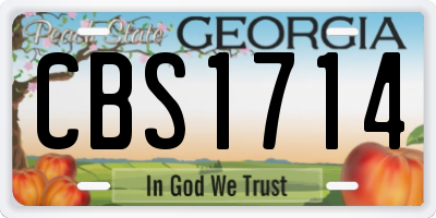 GA license plate CBS1714