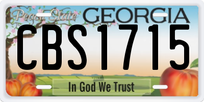 GA license plate CBS1715