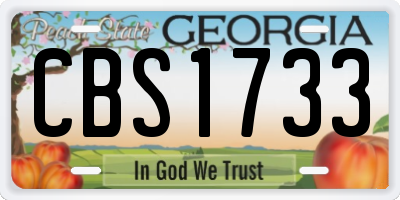 GA license plate CBS1733