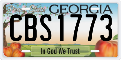 GA license plate CBS1773