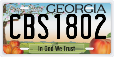GA license plate CBS1802