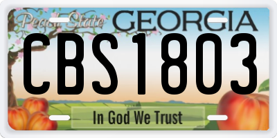 GA license plate CBS1803