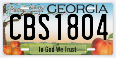 GA license plate CBS1804