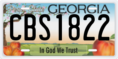 GA license plate CBS1822