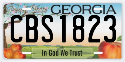 GA license plate CBS1823