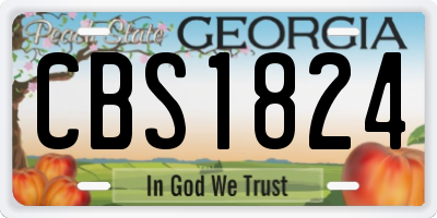 GA license plate CBS1824
