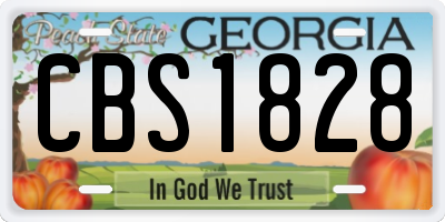GA license plate CBS1828