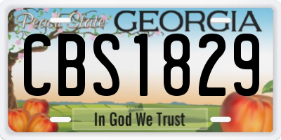 GA license plate CBS1829