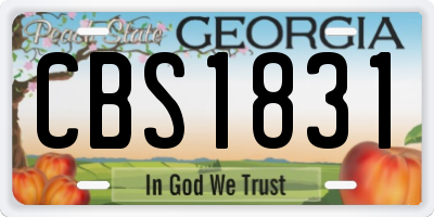 GA license plate CBS1831