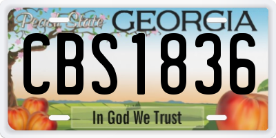 GA license plate CBS1836