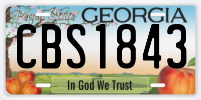 GA license plate CBS1843