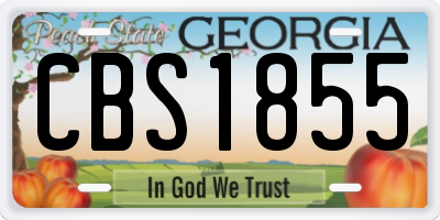 GA license plate CBS1855