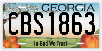 GA license plate CBS1863