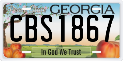 GA license plate CBS1867