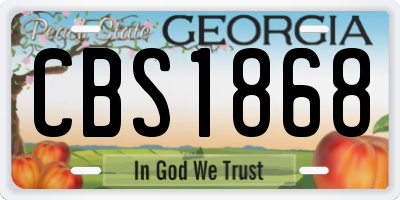 GA license plate CBS1868