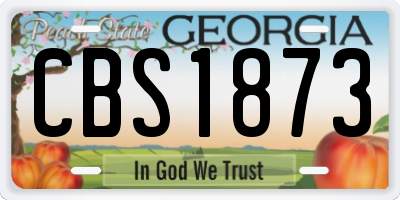 GA license plate CBS1873