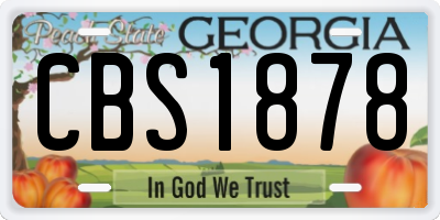 GA license plate CBS1878