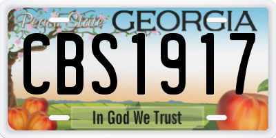 GA license plate CBS1917
