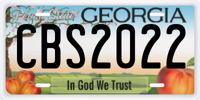 GA license plate CBS2022