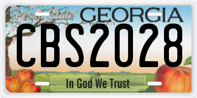 GA license plate CBS2028