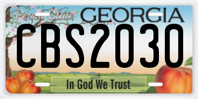 GA license plate CBS2030