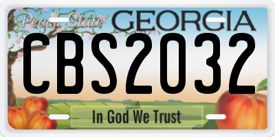 GA license plate CBS2032