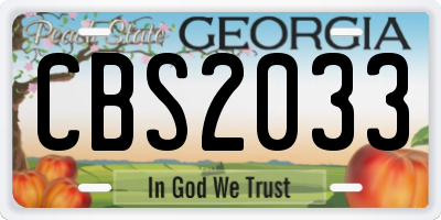 GA license plate CBS2033