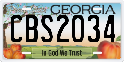 GA license plate CBS2034
