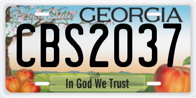 GA license plate CBS2037