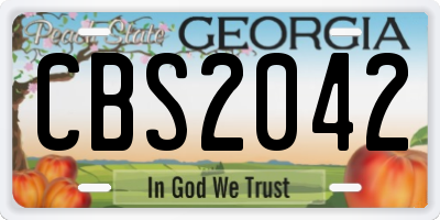 GA license plate CBS2042