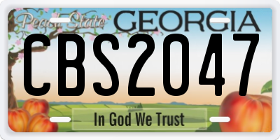 GA license plate CBS2047