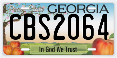 GA license plate CBS2064
