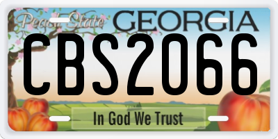 GA license plate CBS2066
