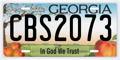 GA license plate CBS2073