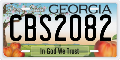 GA license plate CBS2082