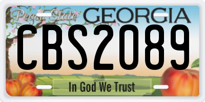 GA license plate CBS2089