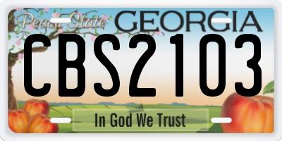 GA license plate CBS2103