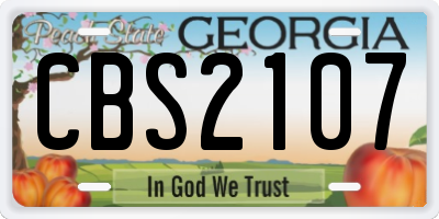 GA license plate CBS2107