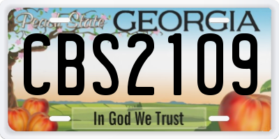 GA license plate CBS2109