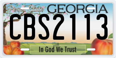 GA license plate CBS2113