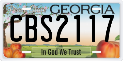 GA license plate CBS2117