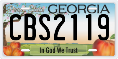 GA license plate CBS2119