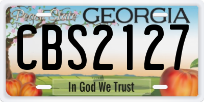GA license plate CBS2127